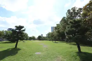 2025-10-00 Osaka, Japan - Osaka (51).webp